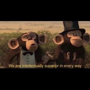 Meet your Posher, Dillon